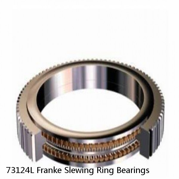 73124L Franke Slewing Ring Bearings