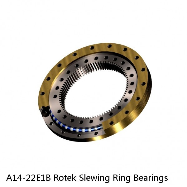 A14-22E1B Rotek Slewing Ring Bearings