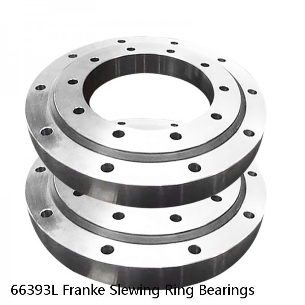 66393L Franke Slewing Ring Bearings