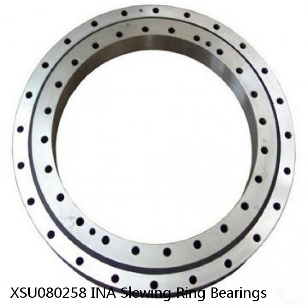 XSU080258 INA Slewing Ring Bearings