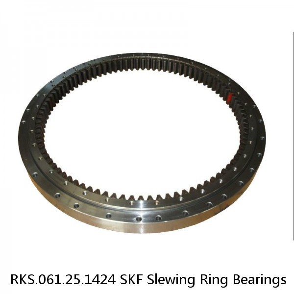 RKS.061.25.1424 SKF Slewing Ring Bearings