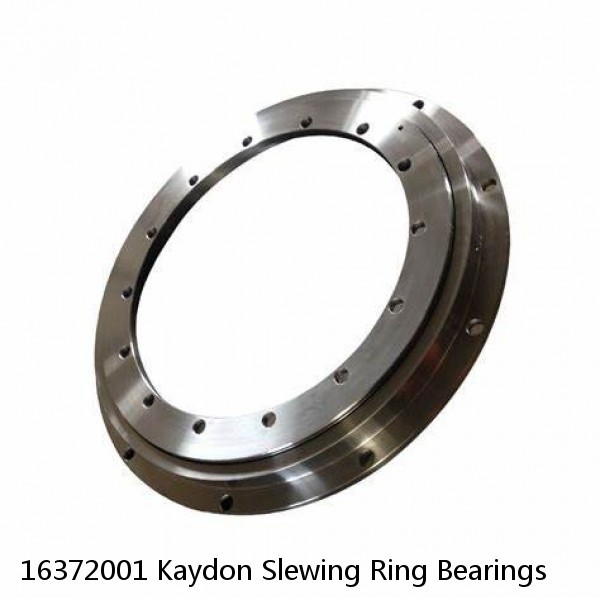 16372001 Kaydon Slewing Ring Bearings