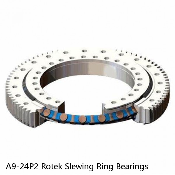 A9-24P2 Rotek Slewing Ring Bearings