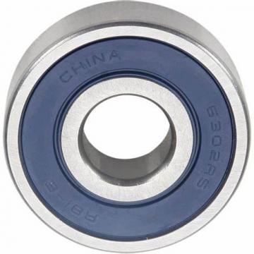 Chrom Steel wheel bearings 6004 6301 6302 6204 2RS Electric Motorcycle bearings Parts of Electric Bike