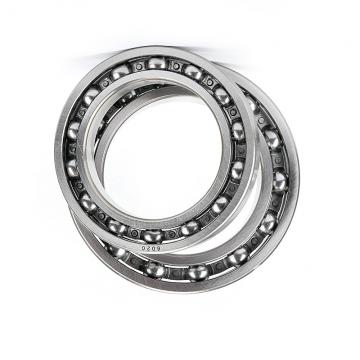 SKF NSK Timken Koyo NTN Deep Groove Ball Bearing 61800/61801/61802/61803/61804/61805/61806-2z 2RS1 6900/6901/6902/6903/6904/6905 Zz 2z 2RS RS