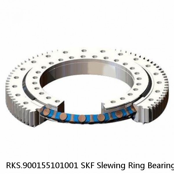 RKS.900155101001 SKF Slewing Ring Bearings