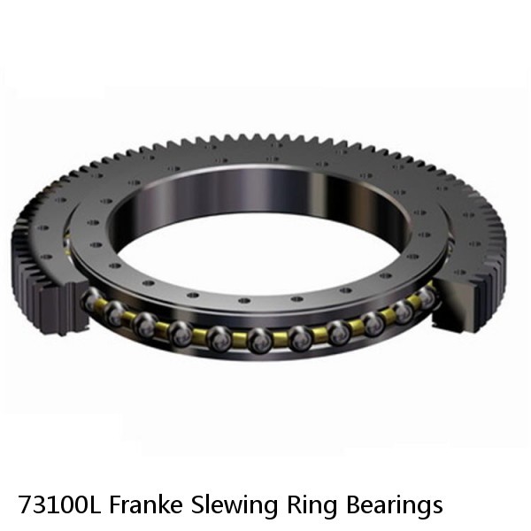 73100L Franke Slewing Ring Bearings