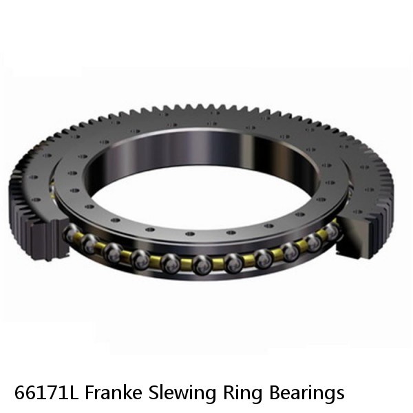 66171L Franke Slewing Ring Bearings