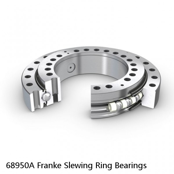 68950A Franke Slewing Ring Bearings