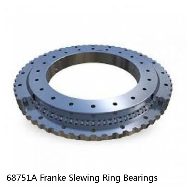 68751A Franke Slewing Ring Bearings