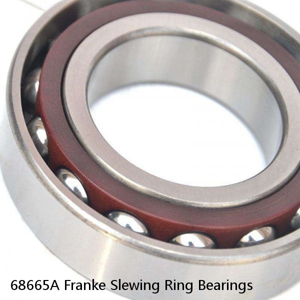 68665A Franke Slewing Ring Bearings