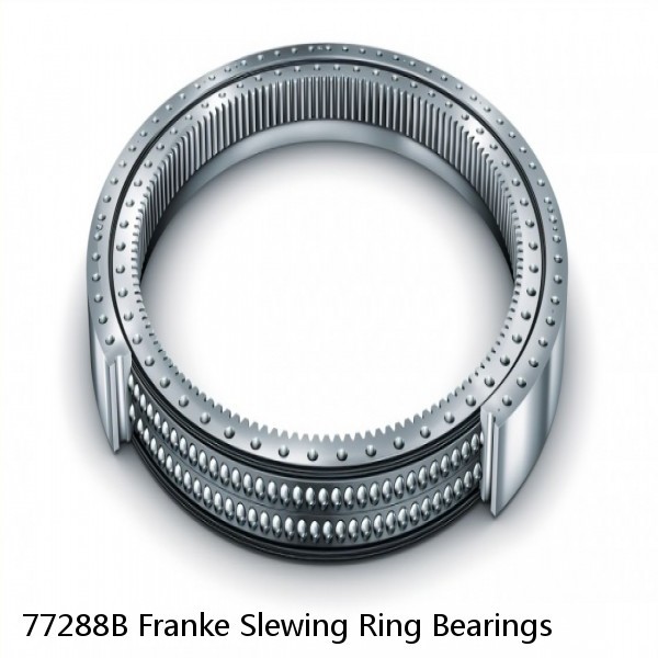 77288B Franke Slewing Ring Bearings