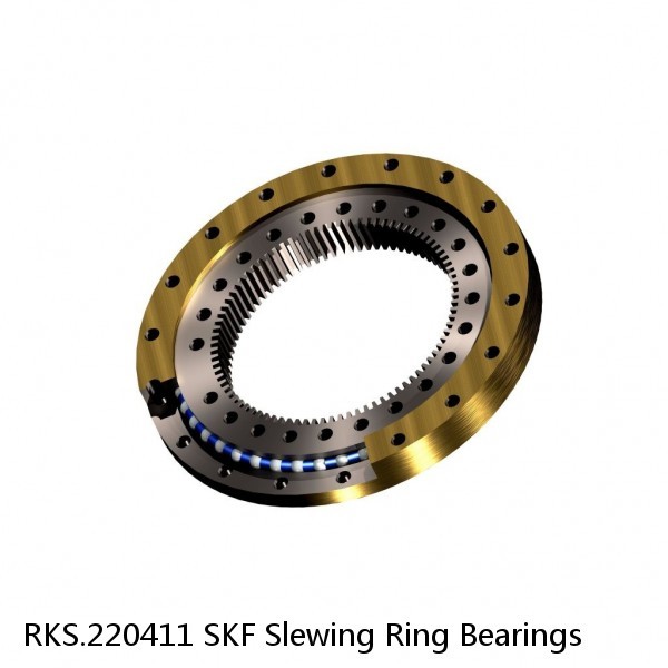 RKS.220411 SKF Slewing Ring Bearings