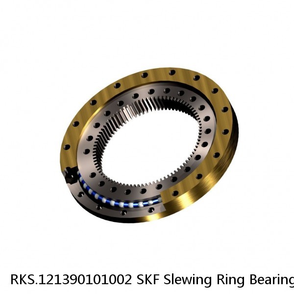 RKS.121390101002 SKF Slewing Ring Bearings