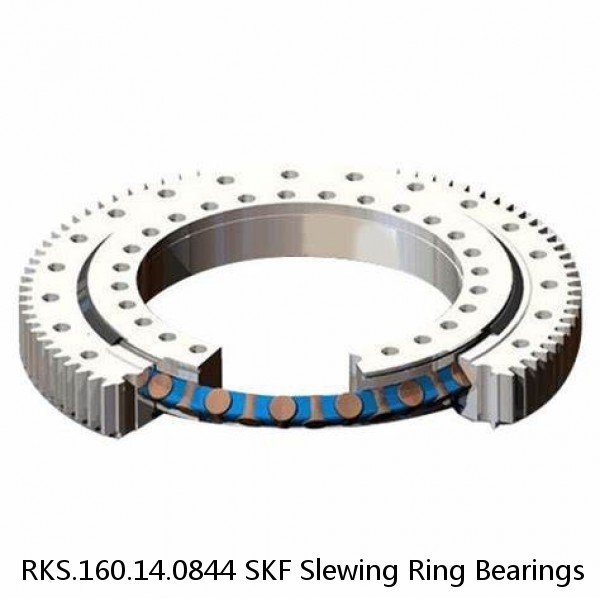 RKS.160.14.0844 SKF Slewing Ring Bearings