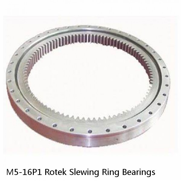 M5-16P1 Rotek Slewing Ring Bearings