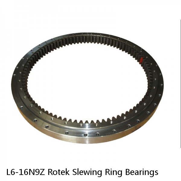 L6-16N9Z Rotek Slewing Ring Bearings