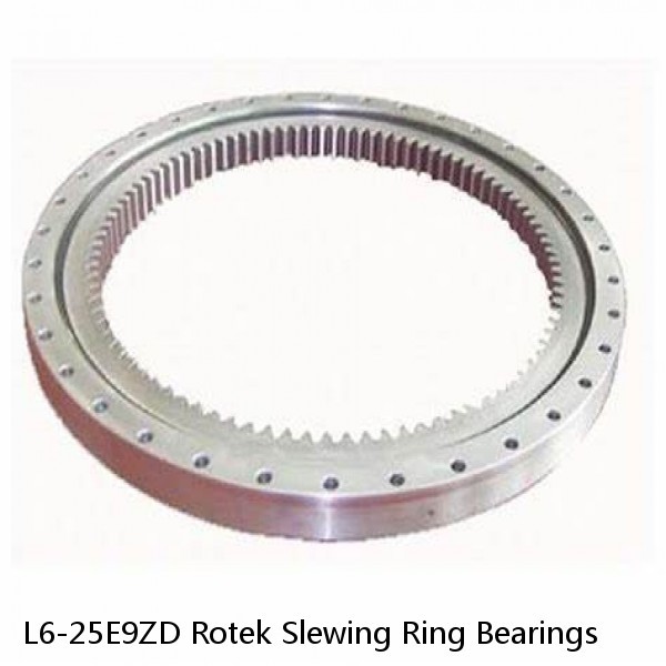 L6-25E9ZD Rotek Slewing Ring Bearings