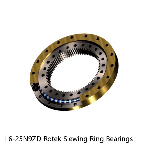 L6-25N9ZD Rotek Slewing Ring Bearings