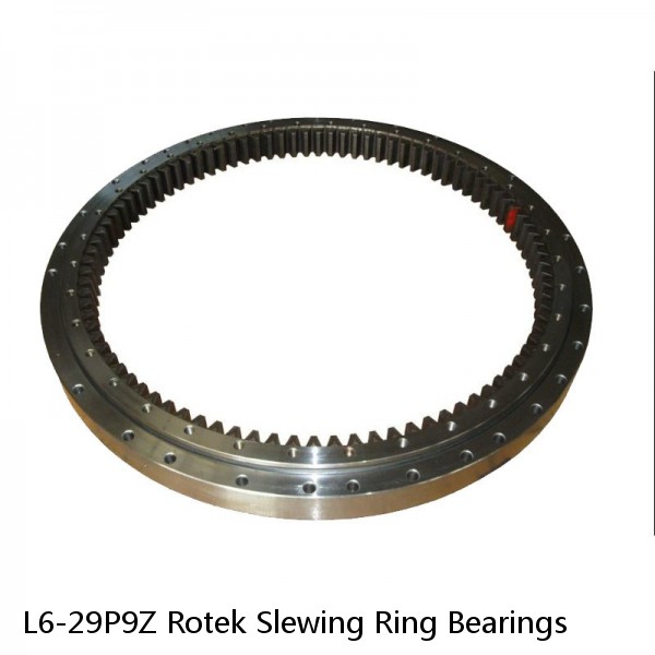 L6-29P9Z Rotek Slewing Ring Bearings