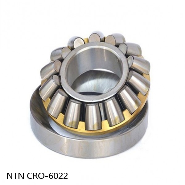 CRO-6022 NTN Cylindrical Roller Bearing