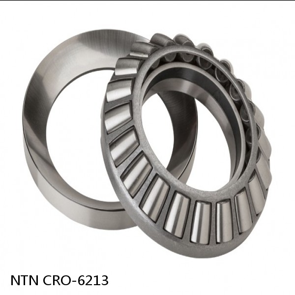 CRO-6213 NTN Cylindrical Roller Bearing