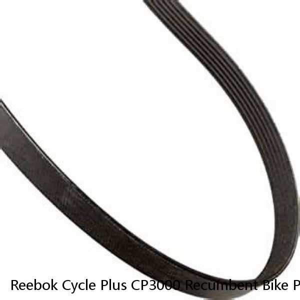 Reebok Cycle Plus CP3000 Recumbent Bike Poly V Alternator Drive Belt 38" 380J6