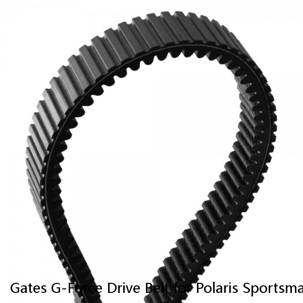 Gates G-Force Drive Belt for Polaris Sportsman 700 2002-2006 Automatic CVT nh