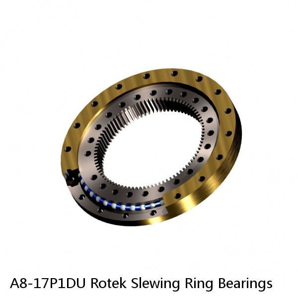 A8-17P1DU Rotek Slewing Ring Bearings