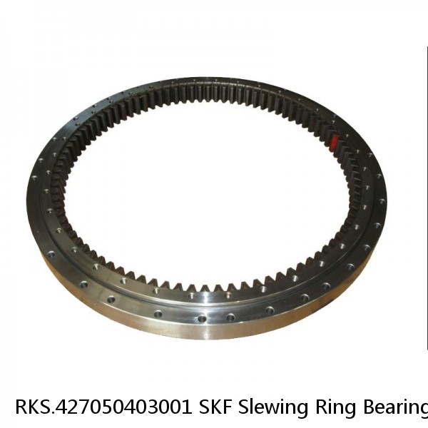 RKS.427050403001 SKF Slewing Ring Bearings