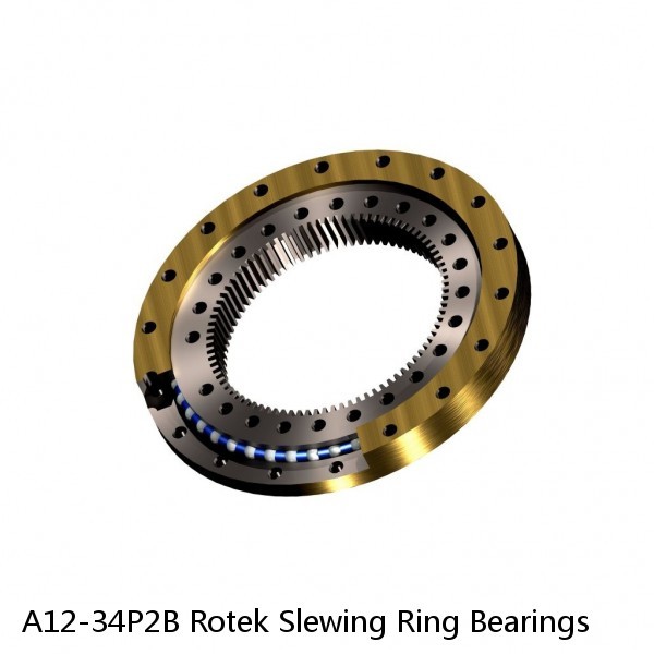 A12-34P2B Rotek Slewing Ring Bearings