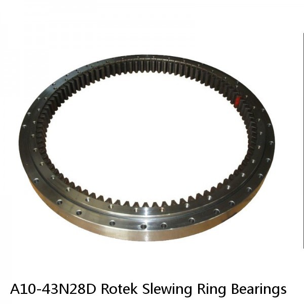 A10-43N28D Rotek Slewing Ring Bearings