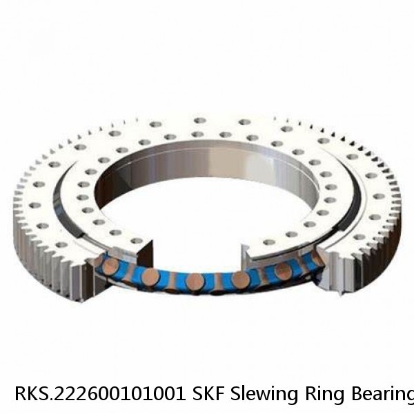 RKS.222600101001 SKF Slewing Ring Bearings