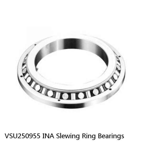 VSU250955 INA Slewing Ring Bearings