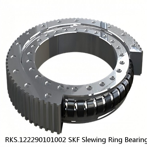 RKS.122290101002 SKF Slewing Ring Bearings