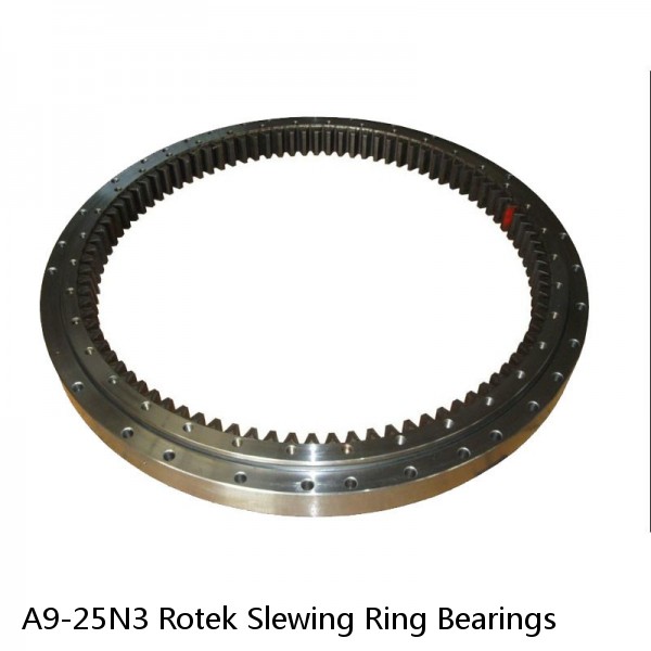 A9-25N3 Rotek Slewing Ring Bearings