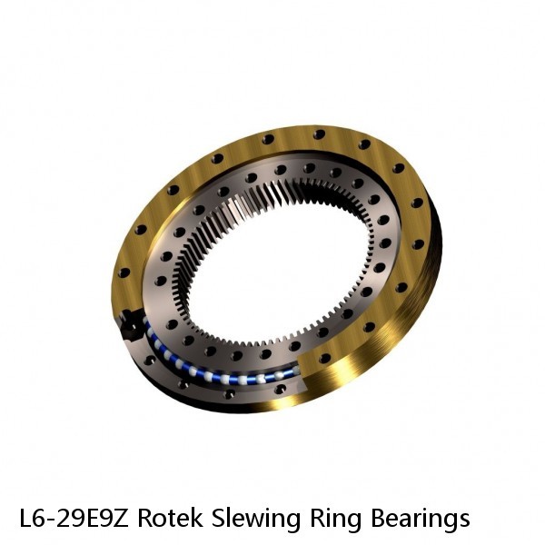 L6-29E9Z Rotek Slewing Ring Bearings