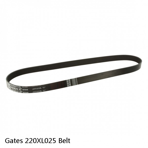 Gates 220XL025 Belt