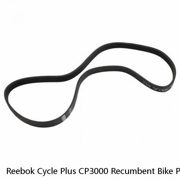 Reebok Cycle Plus CP3000 Recumbent Bike Poly V Alternator Drive Belt 38" 380J6